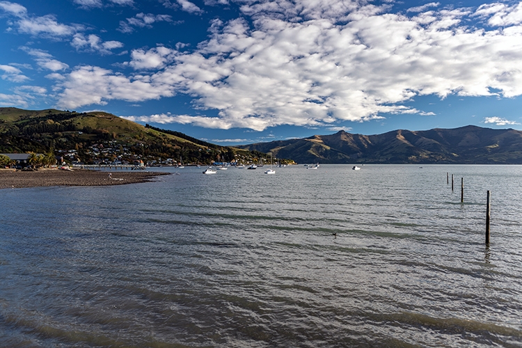 NZL CAN Akaroa 2018APR24 003