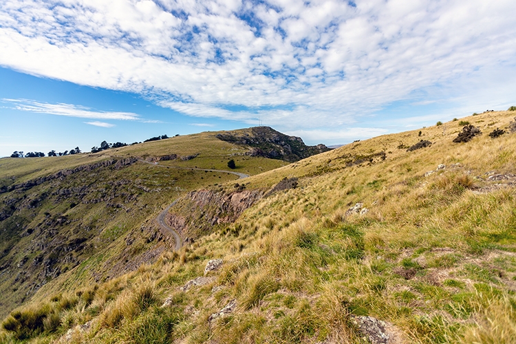 NZL CAN Christchurch 2018APR24 MountCavendish 023