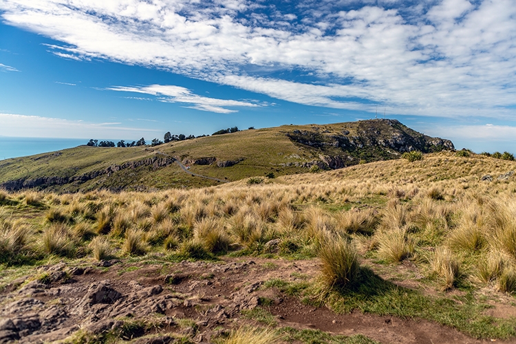 NZL CAN Christchurch 2018APR24 MountCavendish 031