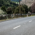 NZL MWT SH4 2011SEPT13 001 : 2011, 2011 - Rugby World Cup, Date, Manawatu-Wanganui, Month, New Zealand, Oceania, Places, September, Shoe Fence, State Highway 4, Trips, Year