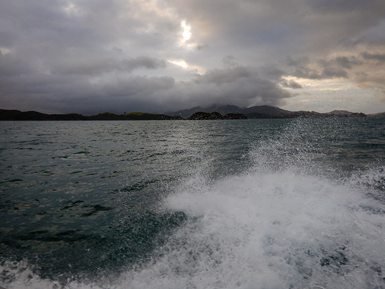 NZL NTL BayOfIslands 2018APR16 003