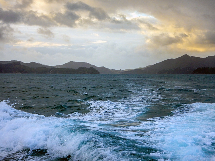 NZL NTL BayOfIslands 2018APR16 007