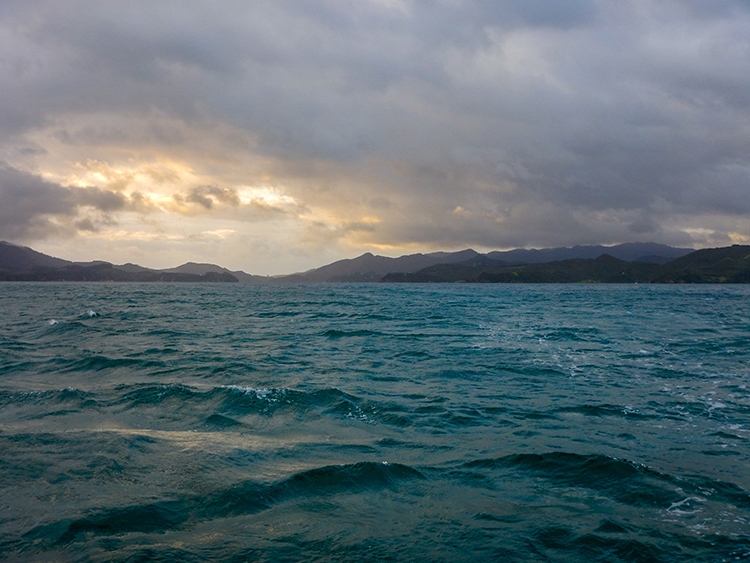 NZL NTL BayOfIslands 2018APR16 008