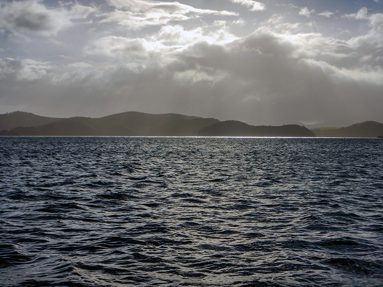 NZL NTL BayOfIslands 2018APR16 012