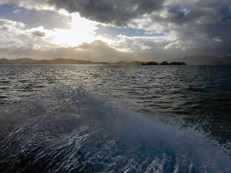 NZL NTL BayOfIslands 2018APR16 013