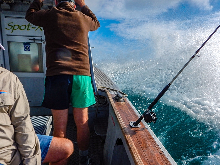 NZL NTL BayOfIslands 2018APR16 014