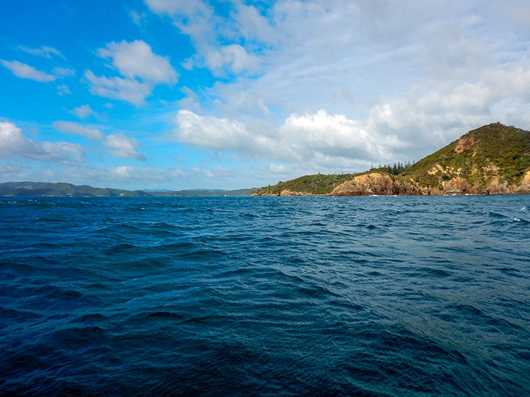 NZL NTL BayOfIslands 2018APR16 016