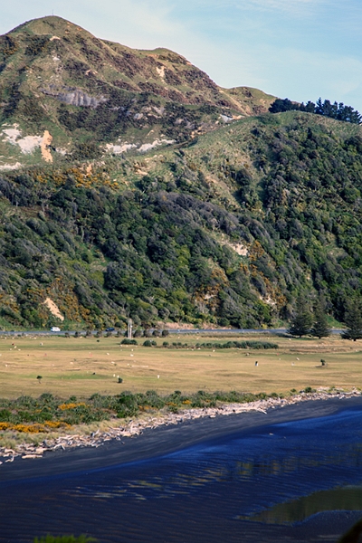 NZL WKO Mokau 2011SEPT10 006