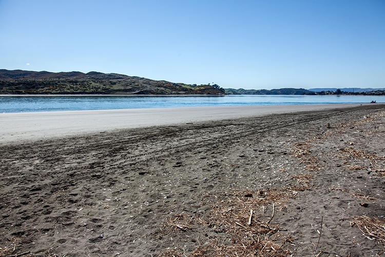 NZL WKO Raglan 2011SEPT10 WainamuBeach 007