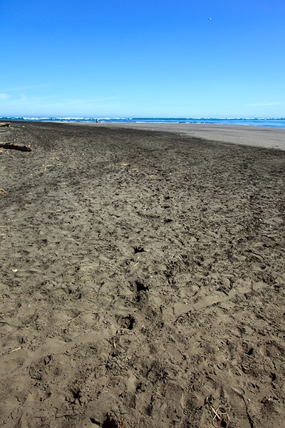 NZL WKO Raglan 2011SEPT10 WainamuBeach 008