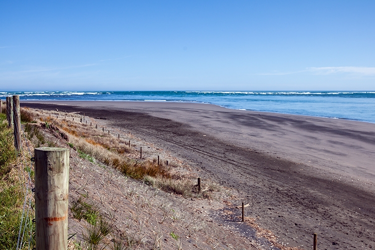 NZL WKO Raglan 2011SEPT10 WainamuBeach 022